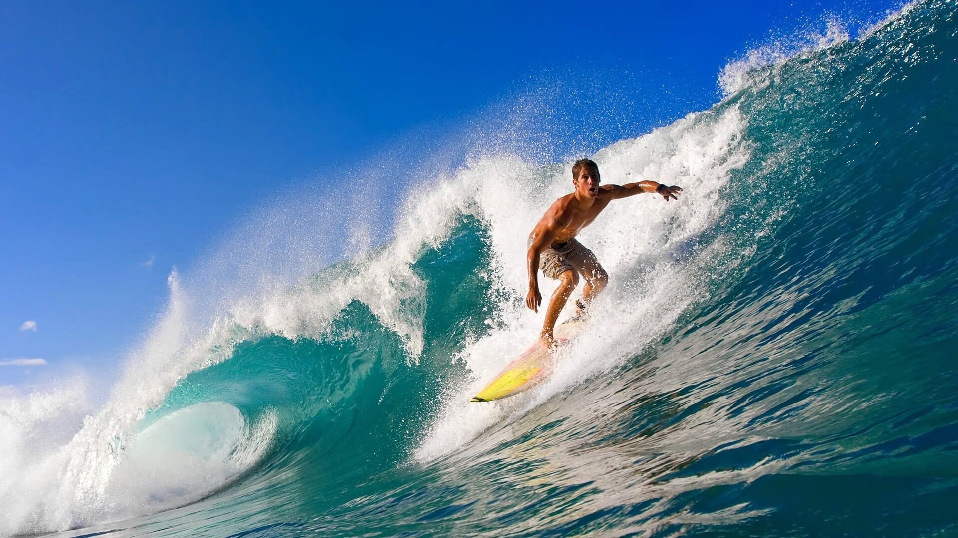 全国游泳冠军赛女子400米自由泳 李冰洁半程确立优势轻松夺金，女子400米自由泳颁奖
